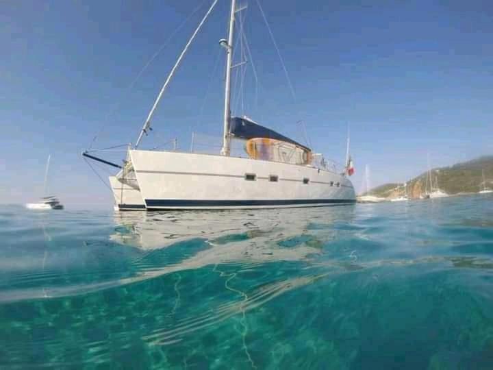 Catamaran Cypraea Terre-De-Haut Exterior foto