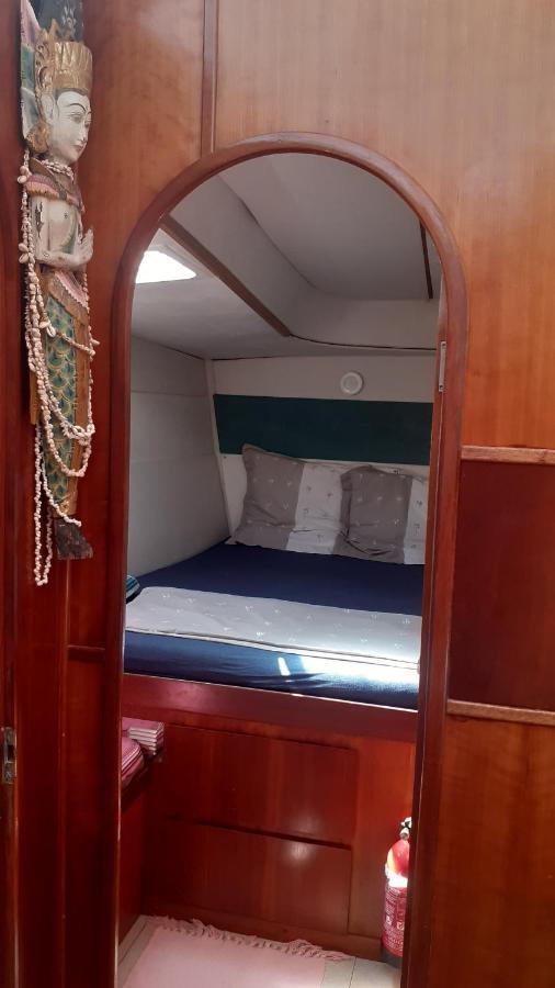 Catamaran Cypraea Terre-De-Haut Exterior foto