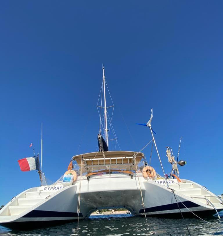 Catamaran Cypraea Terre-De-Haut Exterior foto
